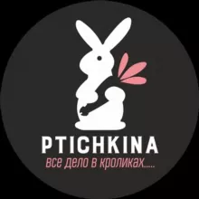 Ptichkina_alisa_larek