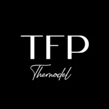 TFP модели Казань