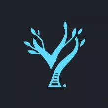 React Frontend | YeaHub