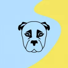 🐾 Happy лапки БФ "Nika Ukraine". Притулок