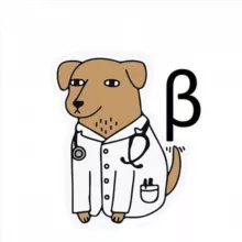 Dogtor_beta