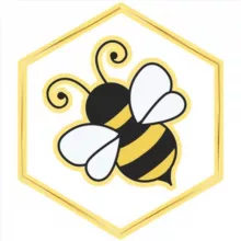 HoneyBee wigs | Укладка париков