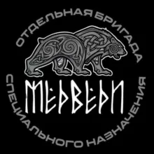 "МЕДВЕДИ" БРИГАДА🇷🇺