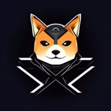 xAIDOGE News