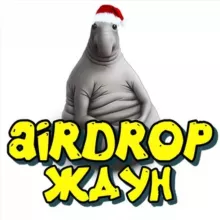 AIRDROP ЖДУН 🐳