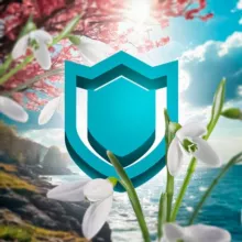 WizardVPN – твой доступ в интернет
