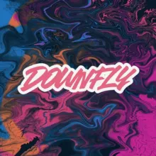 DOWNFLY