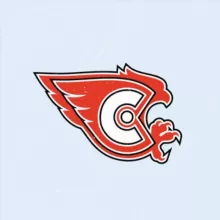 🦅 ХК «Сокол»