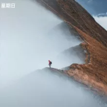 新元时事云云群