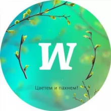 Квиз Мозгва