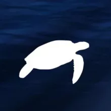 Plastic Free Onlus