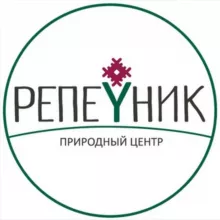 🍃РЕПЕЙНИК🍃