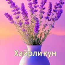Хайрли кун 🇺🇿