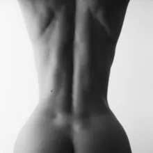 Linartica
