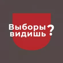 Выборы видишь? | Зеркало Политика