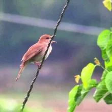 🥇XoFiZ BuLBuL.Uz🥇