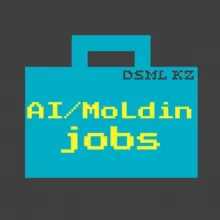 AIMoLdin Jobs (DSML KZ)