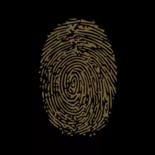 SECRET ROOM - Чат Услуг