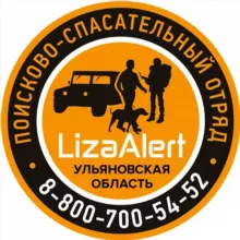 ДПСО "ЛизаАлерт" Ульяновской области