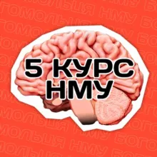 5 КУРС | НМУ
