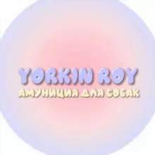 Yorkin.Roy