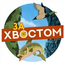 За Хвостом