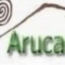 Jorge Guerra - Canal Actualidad y Opiniones