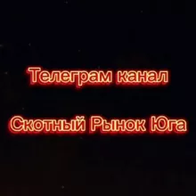 Скотный Рынок Юга