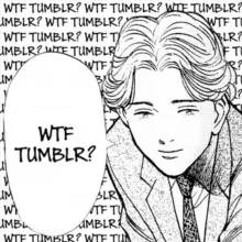 wtf tumblr?