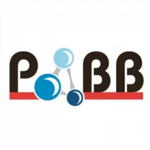 РАВВ