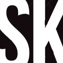 Systemkritik