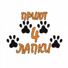 Донецкий приют 🐾4 ЛАПКИ🐾