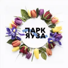 Парк Яуза: Новости
