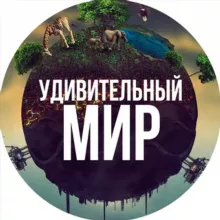 Удивительный мир🌍