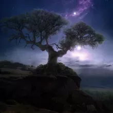 Daydreamer