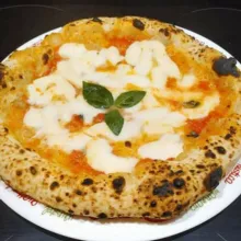 PIZZA NETWORK🍕