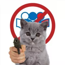 егэ сдавайся блин