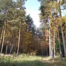 Сарапул чат | 🇷🇺 Удмуртия