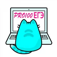 PRO100 ЕГЭ Информатика