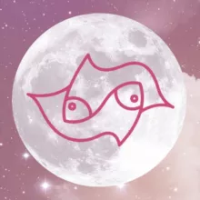 🇹🇼雙魚座貓七（💦生活頻道）