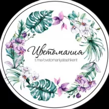 Цветомания