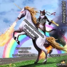 СДВГ мемы