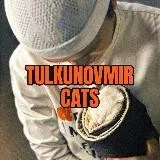 Tulkunovmir😺
