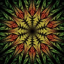 Psychedelic Videos