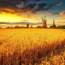 🌾ЗЕРНО - РОССИИ🇷🇺 🌾Покупка📌 Продажа, Доставка 🚛