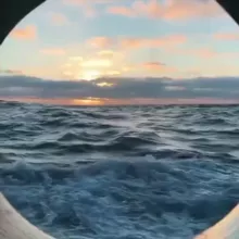 Рыздвяный чат