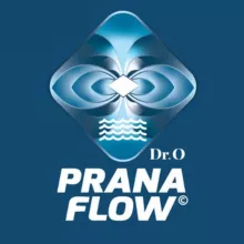 PranaFlow-Прана флоу