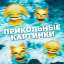 Прикольные картинки/видео