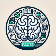 Интересные Факты 💡