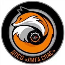ДПСО «Лига Спас»